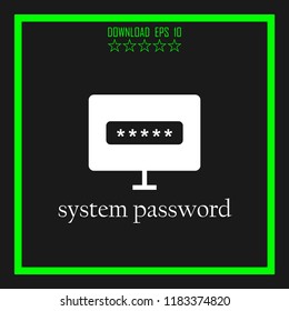 system password vector icon