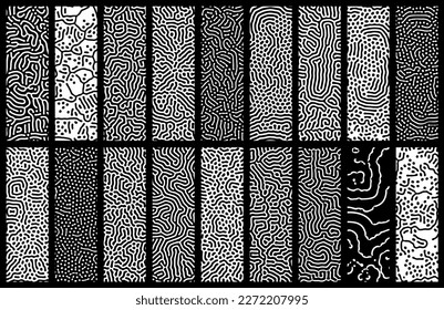 Sistema de reacción-difusión - visualización de patrones de Turing - naturaleza del sonido - concepto vectorial de los tipos de morfogénesis