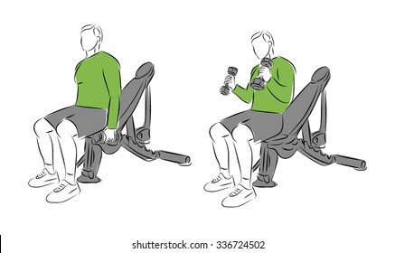 Systematic bodybuilding exercises - Biceps