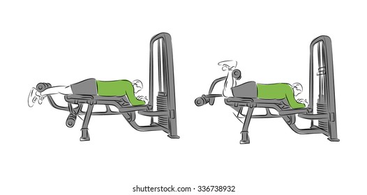 Systematic bodybuilding exercises - Semitendinosus
