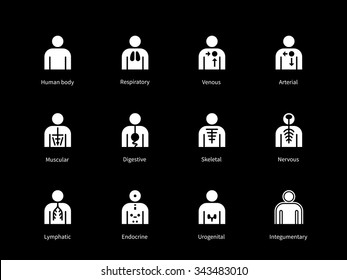 Sistemas del cuerpo humano, digestivos, arteriales, sistemas venosos, sistemas de iconos sobre fondo negro. Ilustración vectorial.