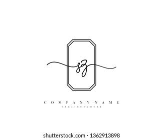 SZ initial handwriting logo template vector