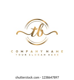 T B Initial handwriting logo vector