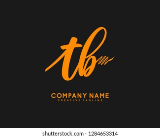 T B Initial Handwriting Logo Template Vector