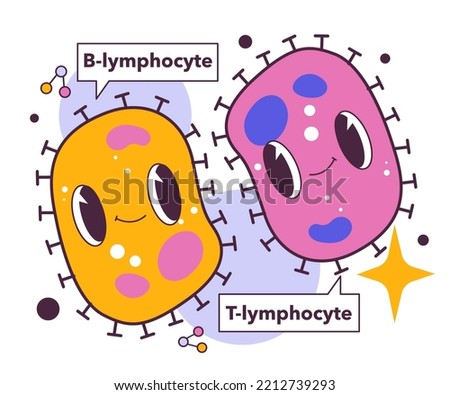 T and B types of lymphocytes. Human adaptive immune system. Immune response cells. Flat vector illustration