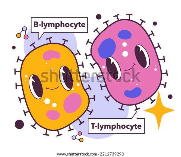 T B Types Lymphocytes Human Adaptive Stock Vector (Royalty Free ...