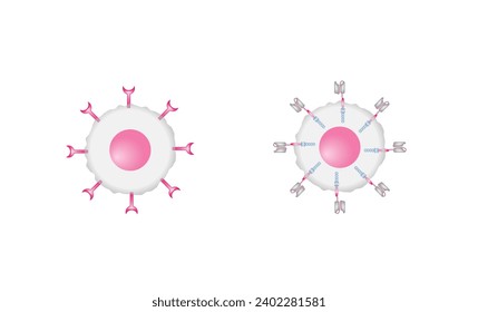 Receptor celular T (TCR) o tratamiento con células T del receptor de antígeno quimérico (RC). Terapia contra el cáncer. Proteínas de receptores de células T diseñadas para matar células cancerígenas. ilustración vectorial.