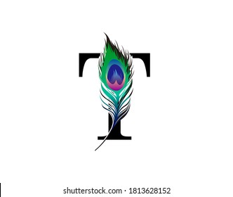 T Letter Decorated With Exotic Peacock Feather. 