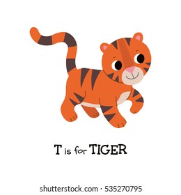 T letter tracing. Standing Tiger. Cute children zoo alphabet flash card. Funny cartoon animal. Kids abc education. Learning English vocabulary. Vector illustration.