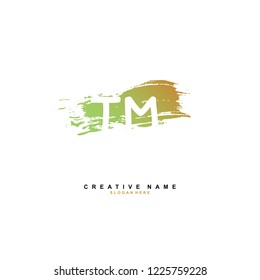 T M TM Initial logo template vector