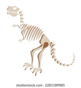 T rex dinosaur skeleton illustration. Prehistoric creature bones isolated. Dangerous ancient predator, tyrannosaurus fossil design element. Vector.