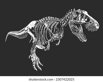 T Rex  Tyrannosaurus Rex Skeleton and Skull Bones Black White