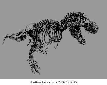 T Rex Tyrannosaurus Rex Skelett und Schädelknochen Schwarz Weiß