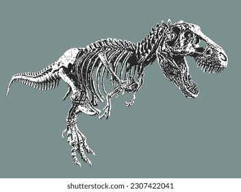 T Rex  Tyrannosaurus Rex Skeleton and Skull Bones Black White