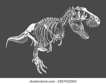 T Rex  Tyrannosaurus Rex Skeleton and Skull Bones Black White