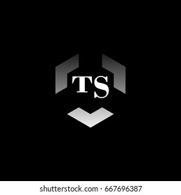 T S Logo