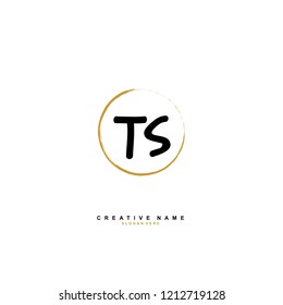 T S TS Initial abstract logo concept vector
