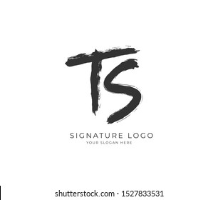T S TS Initial signature handwriting or handwritten logo for identity. Logo with hand drawn style.