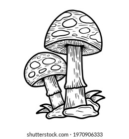 t shirt design black white hand drawn illustration mushroom