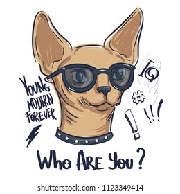 t shirt design with sphinx cat and text Who are you? Exclamation mark, lightning sign, hashtag, text Young modern forever, IQ. fancy kitten poster. 