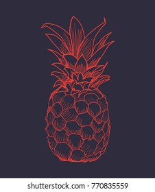  t shirt graphics ,vector ,pineapple
