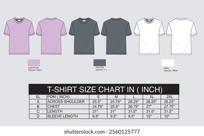 t shirt size chart with color vector mock up royalty free for manufacturing 