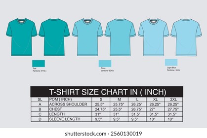 T shirt size chart with color vector mock up Fashion illustration for royalty free  