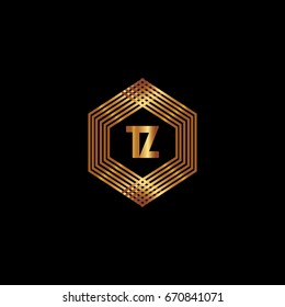 T Z Logo