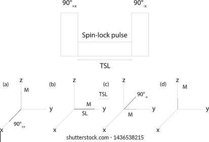 T1rho MRI Sequence Schematics Magnetization