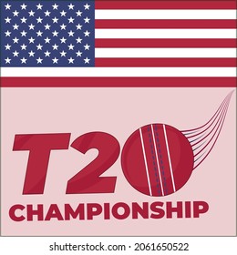 T20 Cricket Sports Championship logo with United States USA Flag Original Illustration - Vector EPS10 illustration