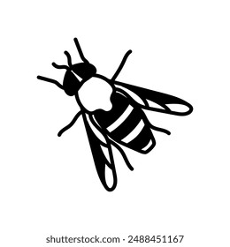 Tabanus Glyph Icon, Vector illustration