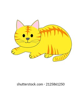 A tabby cat with a copy space 