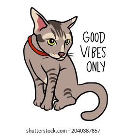 Tabby cat good vibes only cartoon vector illustration
