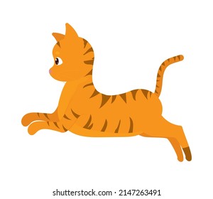tabby cat icon on white background