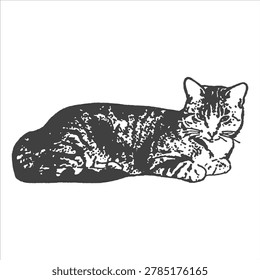 Tabby cat lying down with patterned fur patterned domestic creature sleeping peaceful isolated