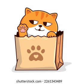 Tabby Cat in Paper Bag Waving Paws    Striped Orange Pussy Cat in Shopping Bag