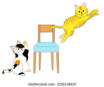 A Tabby Cat Playing With A Calico Cat: White Background