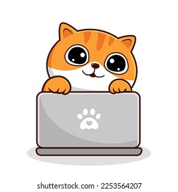 Portátil para jugar al gato en mesa - Gatos de color naranja blanco - Portátil para jugar al gato con tira suave