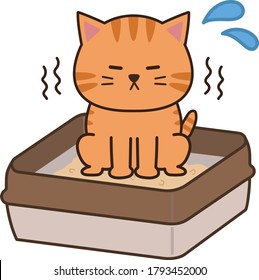 El gato de Tabby empujando apenas para cazar. Aislado sobre fondo blanco.