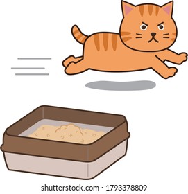Tabby cat running around after doing his business. Isolated on white background.
