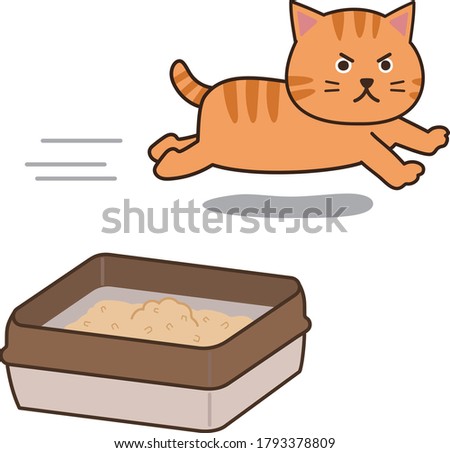 Tabby cat running around after doing his business. Isolated on white background.