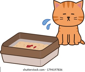 El gato de Tabby se preocupa de mear sangre en una caja de basura. Aislado sobre fondo blanco.