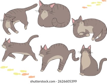 A lot of tabby cats had gathered.