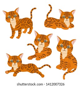 Tabby cats simple style set. Collection of cute pets. Vector illustrations isolated on white background.