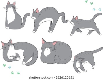 A lot of tabby cats were gathered.