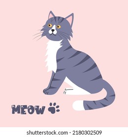 Tabby grey cat is sitting. Meow lettering text and a paw. Vector illustration.