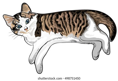 Tabby kitten resting. Vector drawing.