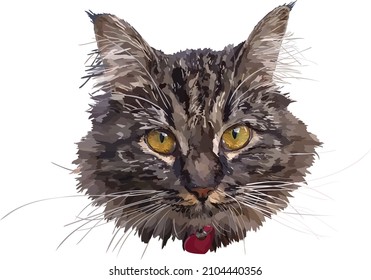 Tabby mottled cat realistic illustration