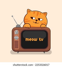 Tabby Orange Cat Behind Old TV - Striped Orange Cat Hiding Old Television