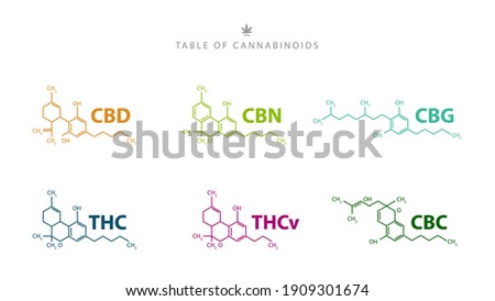 Table of cannabinoids. Chemical formulas of natural cannabinoids isolated on white background